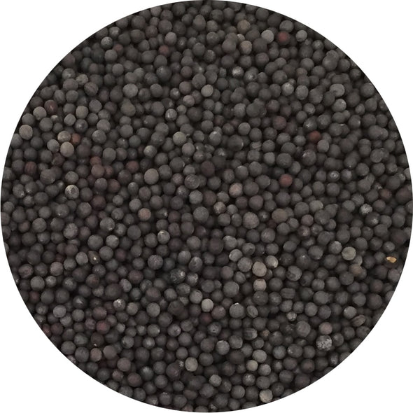 Semi per microgreens - Pak Choi Panda