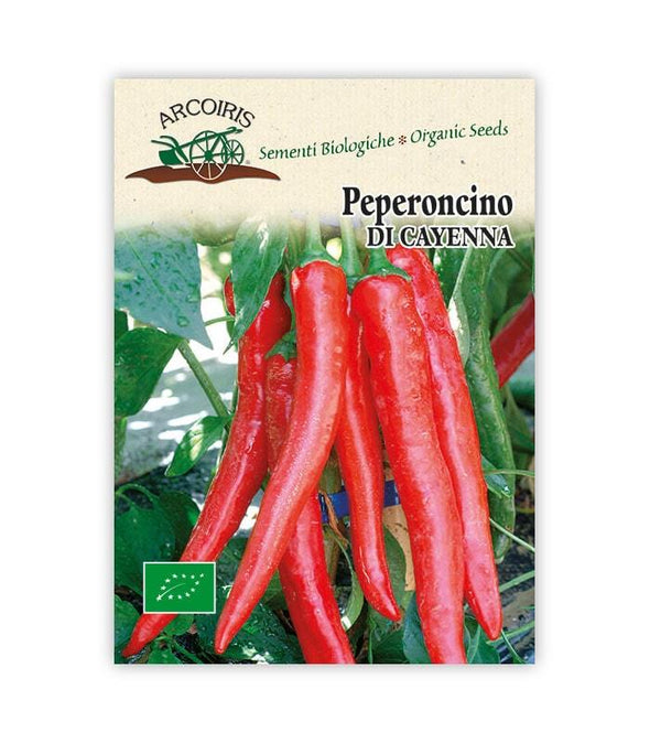 Peperoncino di Cayenna - Italian Sprout