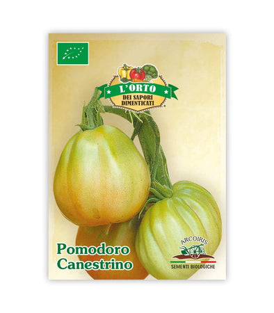Pomodoro Canestrino - Italian Sprout