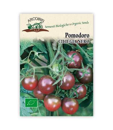 Pomodoro Ciliegia nero - Italian Sprout