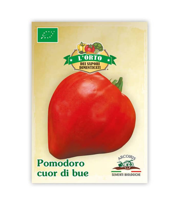 Pomodoro Cuor di bue - Italian Sprout
