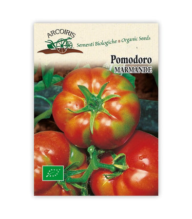 Pomodoro Marmande - Italian Sprout