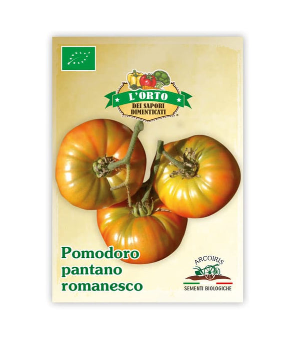 Pomodoro Pantano romanesco - Italian Sprout