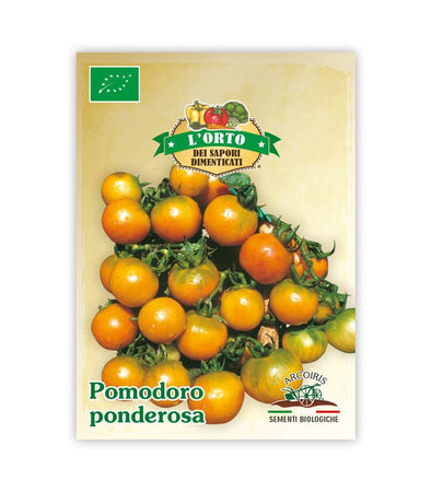 Pomodoro Ponderosa - Italian Sprout