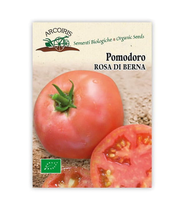 Pomodoro Rosa di Berna - Italian Sprout