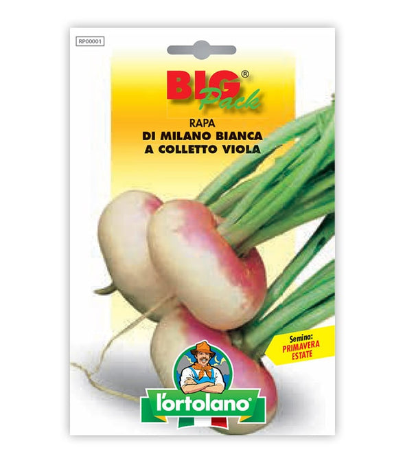 Semi da orto - Rapa di Milano Bianca a Colletto Viola