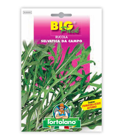 Semi da orto - Rucola Selvatica da Campo