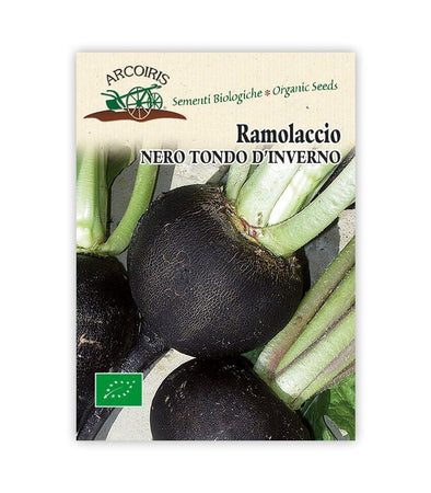 Ramolaccio Nero Tondo d'Inverno - Italian Sprout