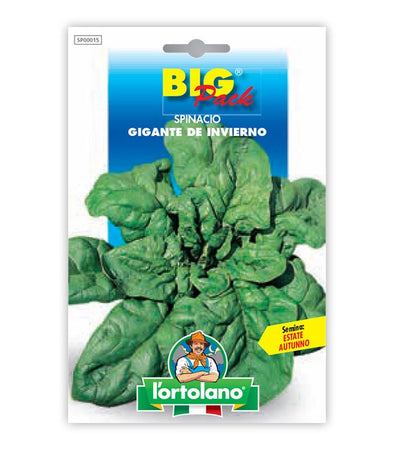 Semi da orto - Spinacio Gigante de Invierno