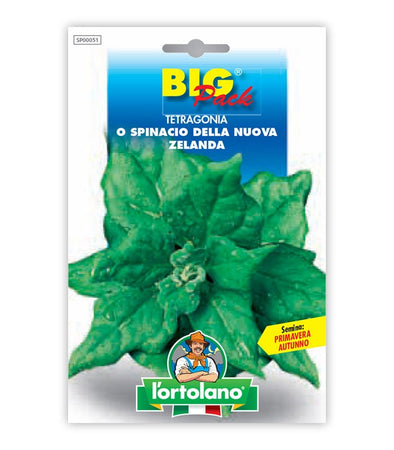 Spinach della Nuova Zelanda