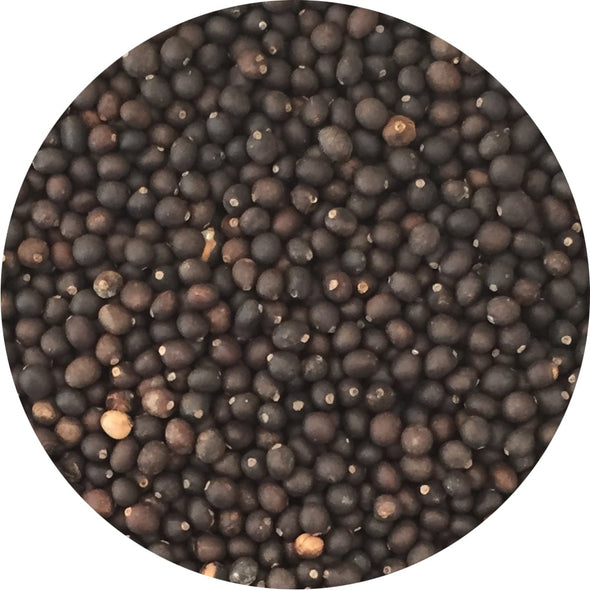Semi per microgreens - Salvia Bomber
