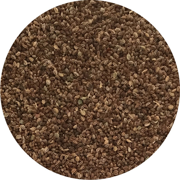 Semi per microgreens - Sedano Elfo