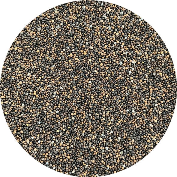 Semi per microgreens - Timo Sirino