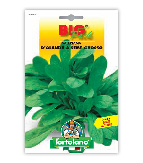 Semi da orto - Valeriana d'Olanda a seme grosso
