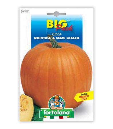 Semi da orto - Zucca Quintale seme giallo