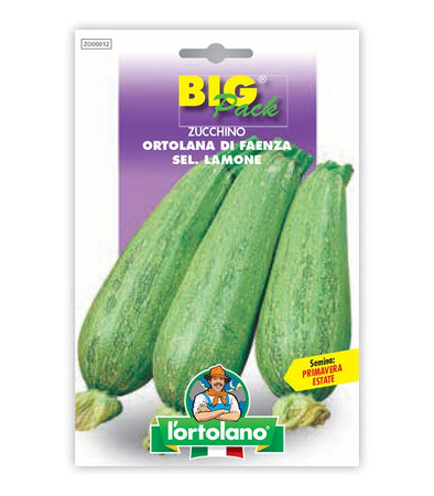 Semi da orto - Zucchino Ortolana di Faenza sel. Lamone