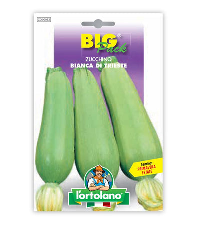 Semi da orto - Zucchino Bianca di Trieste