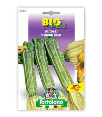 Semi da orto - Zucchino Romanesco