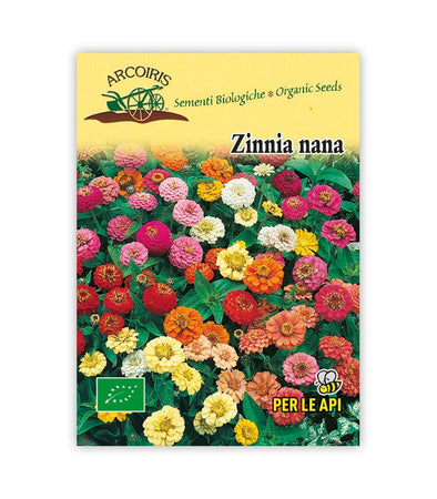 Zinnia Nana - Italian Sprout