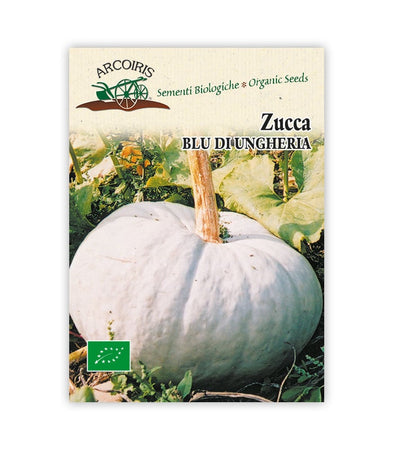 Zucca Blu di Ungheria - Italian Sprout