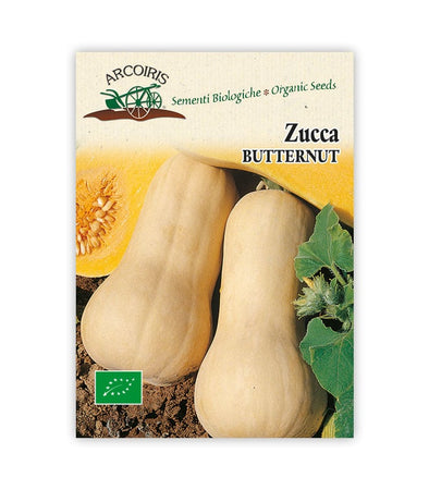 Zucca Butternut - Italian Sprout