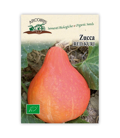 Zucca Red Kuri - Italian Sprout