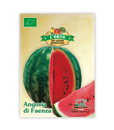 Watermelon from Faenza