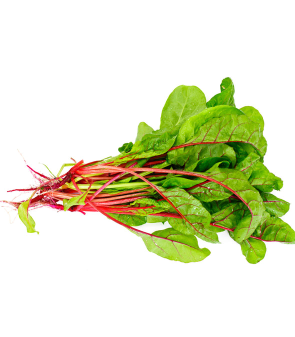 Bieta Bull’s Blood - Italian Sprout