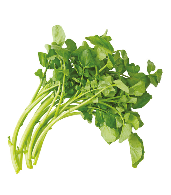 Crescione Caligola - Italian Sprout