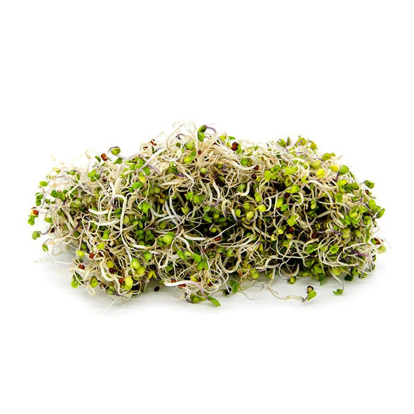 Semi da germoglio - Cavolo Verde Osiride