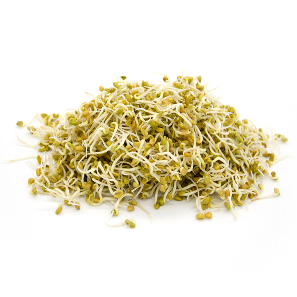 Sprouting seeds - Fenugreek Perseo