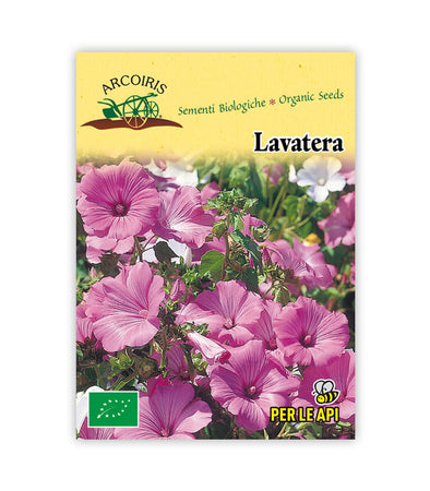 Bio flower seeds - Lavatera