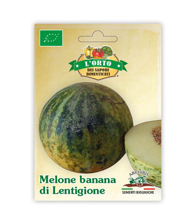 Melon Banana di Lentigione