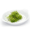 Aneto Hermes - Italian Sprout
