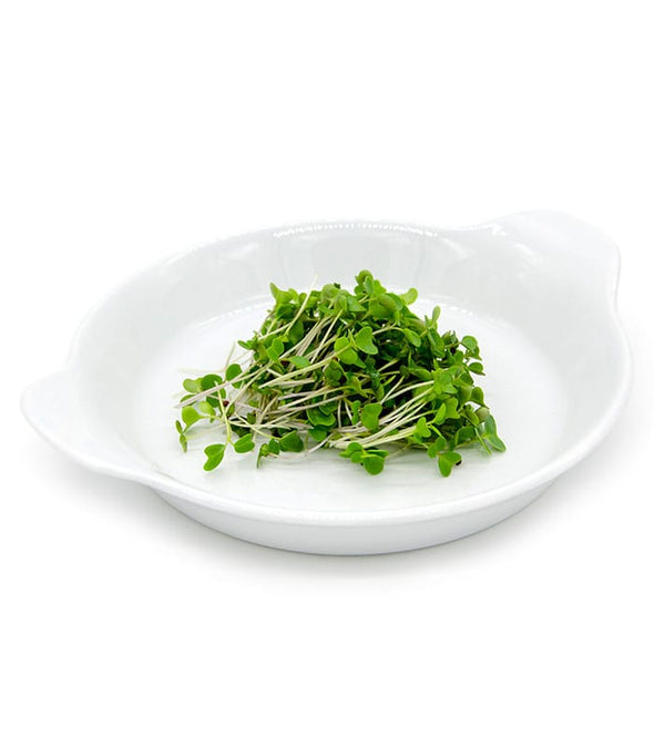 Semi per microgreens - Cavolo Verde Osiride