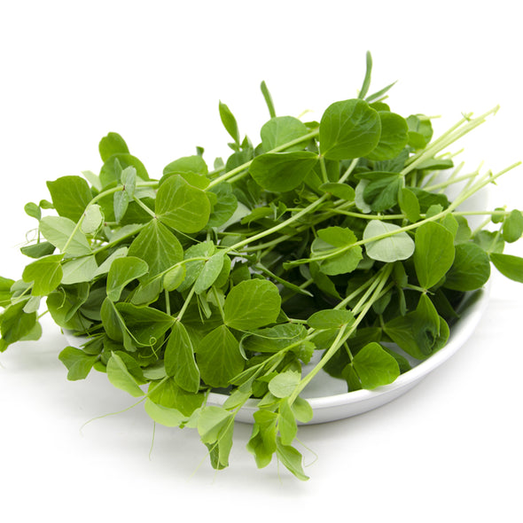 Semi per microgreens - Pisello verde Efesto