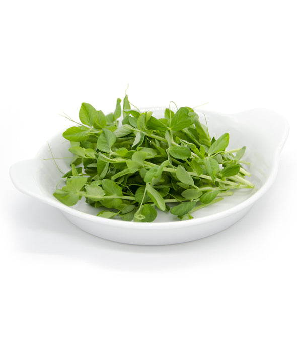 Pisello giallo Apollo - Italian Sprout