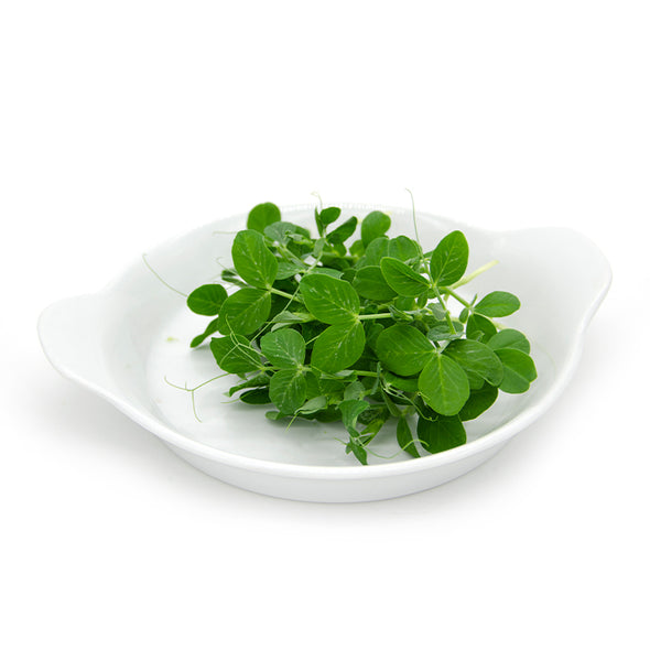 Semi per microgreens - Pisello verde Tendril Etna