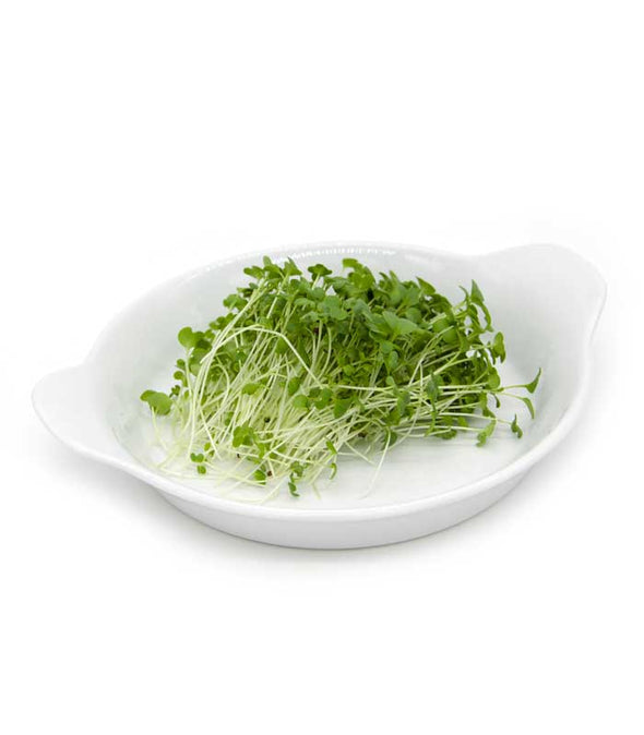 Semi per microgreens - Senape verde Snack