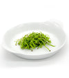 Spinacio Green Field - Italian Sprout