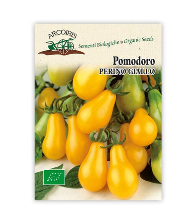 Pomodoro Perino giallo - Italian Sprout