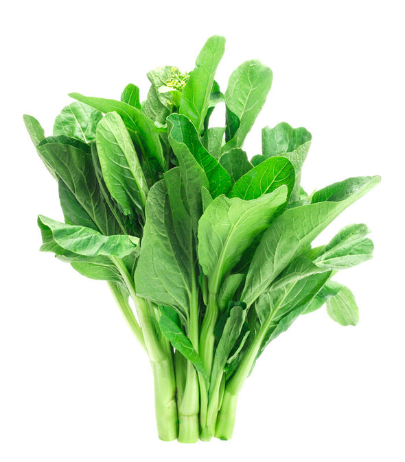 Senape verde Pistol - Italian Sprout