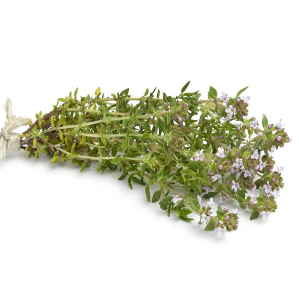 Semi per microgreens - Timo Sirino